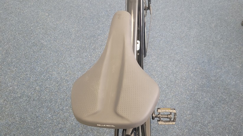 Diamant 365: Leicht, gut verarbeitet, 9-Gang-Schaltung, begrenzte Reichweite