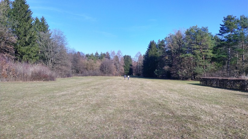 Fotoaufnahme des Nokia 5.4