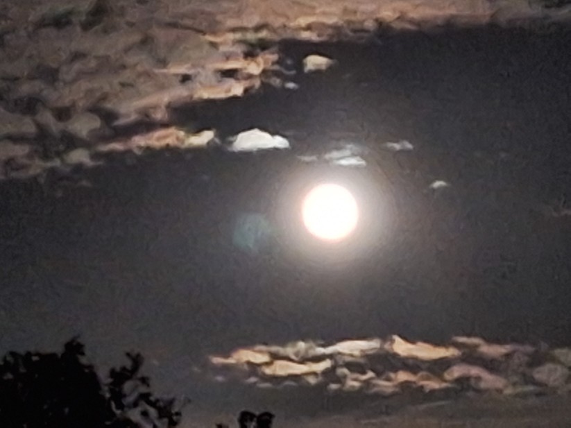 Samsung Galaxy A54 - Originalaufnahmen 