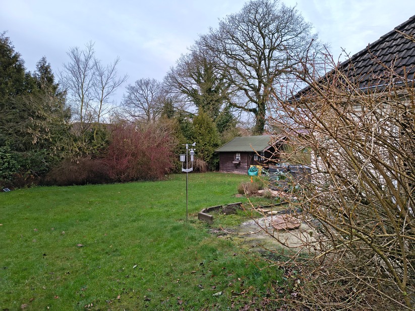 Motorola Edge 60 Neo - Originalaufnahmen