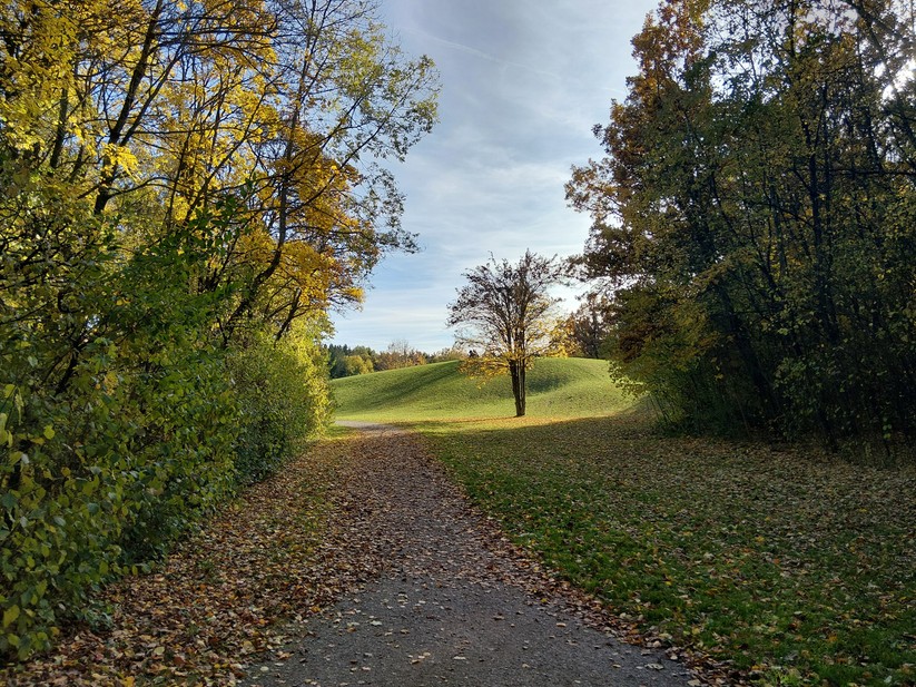 Samsung Galaxy Xcover 7 Pro – Originalaufnahmen