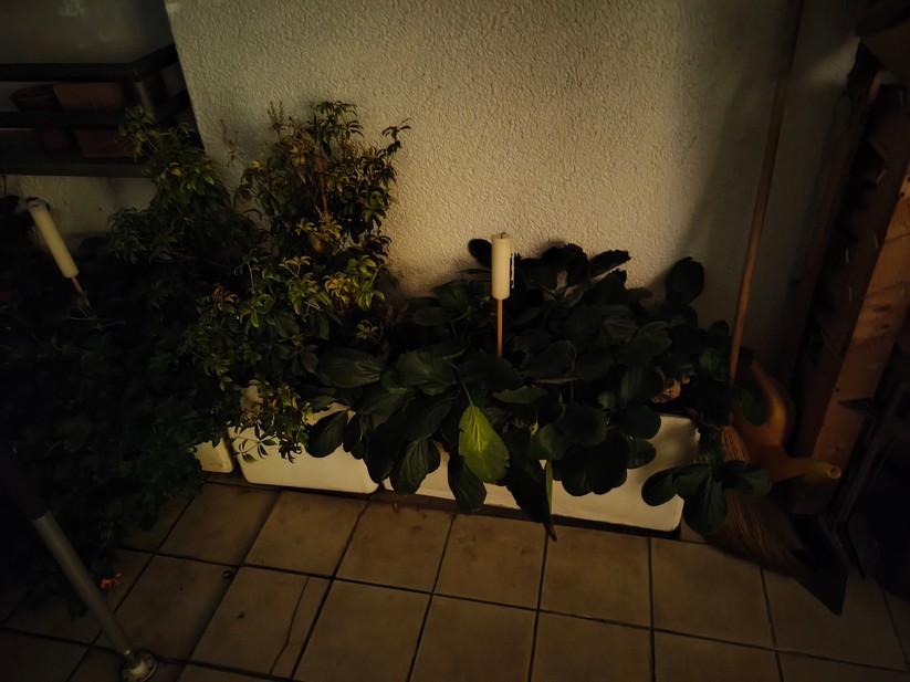 Realme 14 Pro+ 5G - Originalaufnahmen