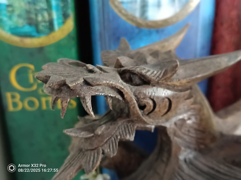 Ulefone Armor X32 Pro - Originalaufnahmen