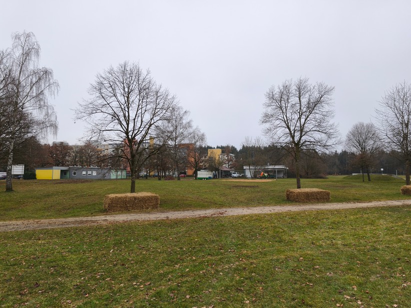 Xiaomi 15T - Originalaufnahmen