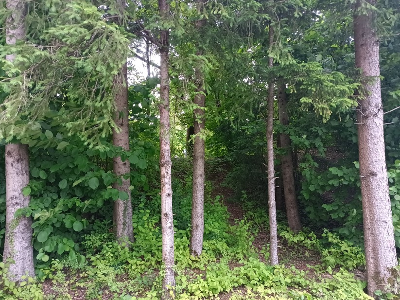 Blackview BV 9200 - Originalaufnahmen 