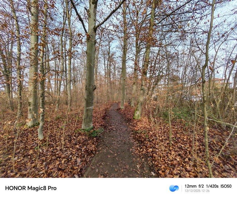 Honor Magic 8 Pro - Originalaufnahmen 