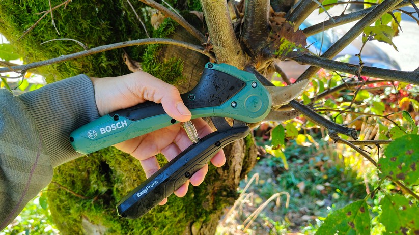 Bosch Easyprune
