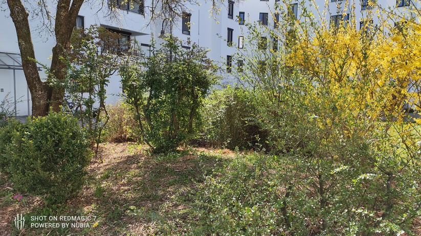 Nubia RedMagic 7 - Originalaufnahmen 