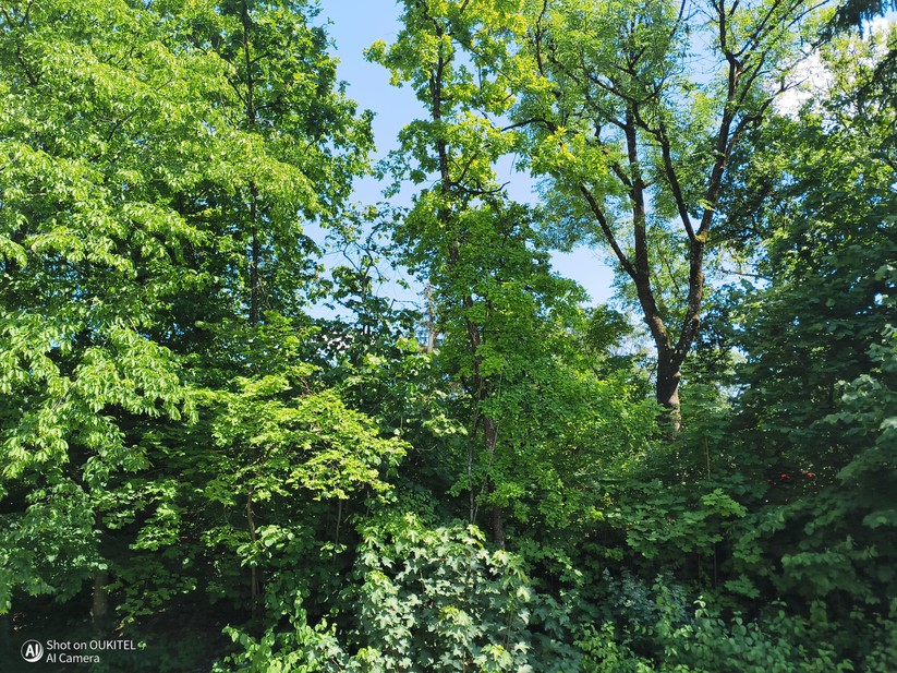  Hauptkamera