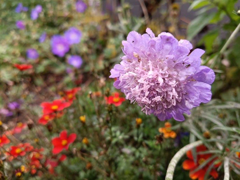 Motorola Moto G56 5G – Originalaufnahmen