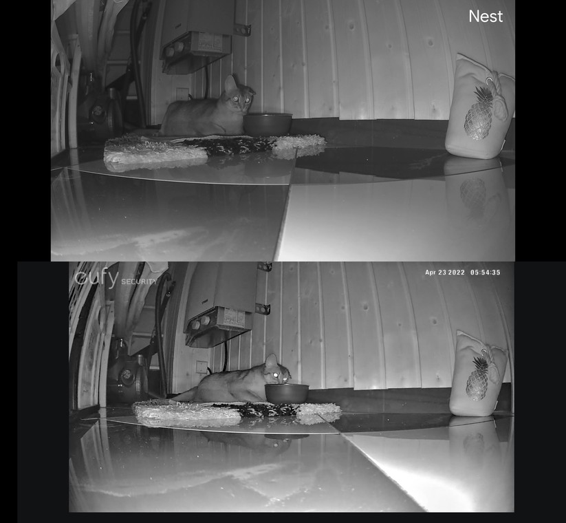 Aufnahmen bei wenig Licht gelingen der Nest Cam deutlich schlechter als der Eufycam 2 Pro. Sie bieten weniger Details und sind insgesamt dunkler. Allerdings ist die Eufycam 2 Pro auch doppelt so teuer wie die Nest Cam von Google.