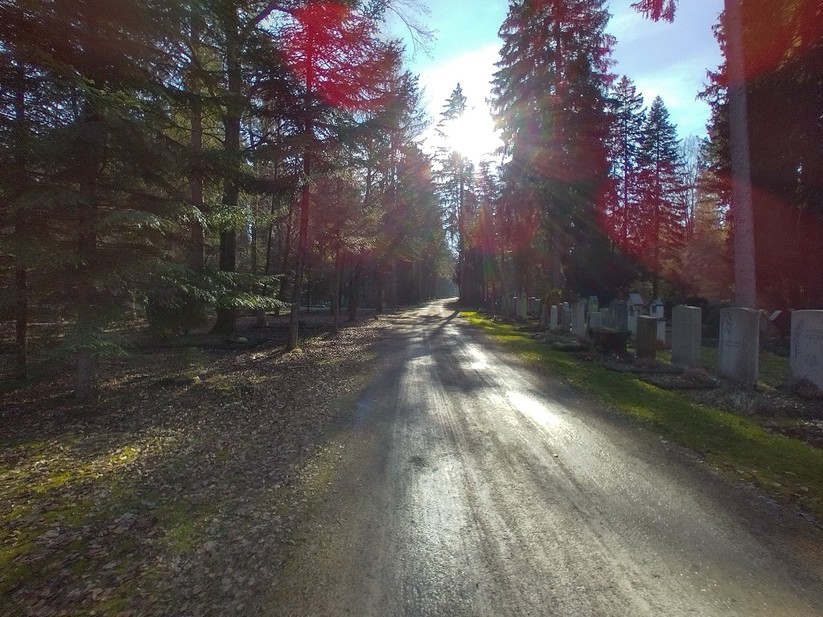 Fotoaufnahme des Nokia 5.4