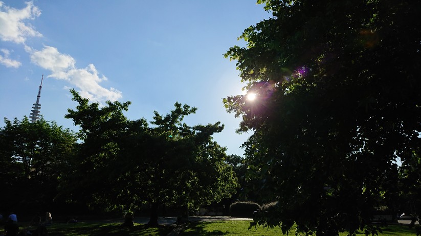 Gegenlicht