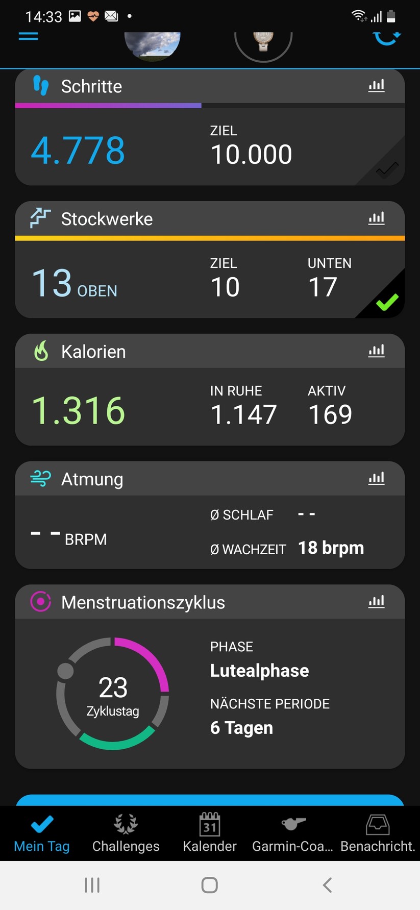 Garmin Connect Lily 
