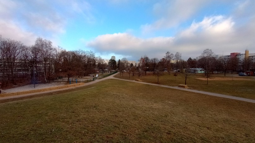 Motorola Moto G31: Originalaufnahmen