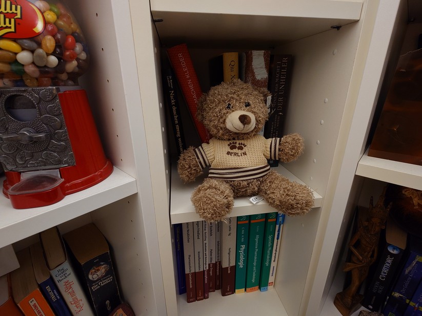 Sony Xperia 1 VII - Originalaufnahmen 