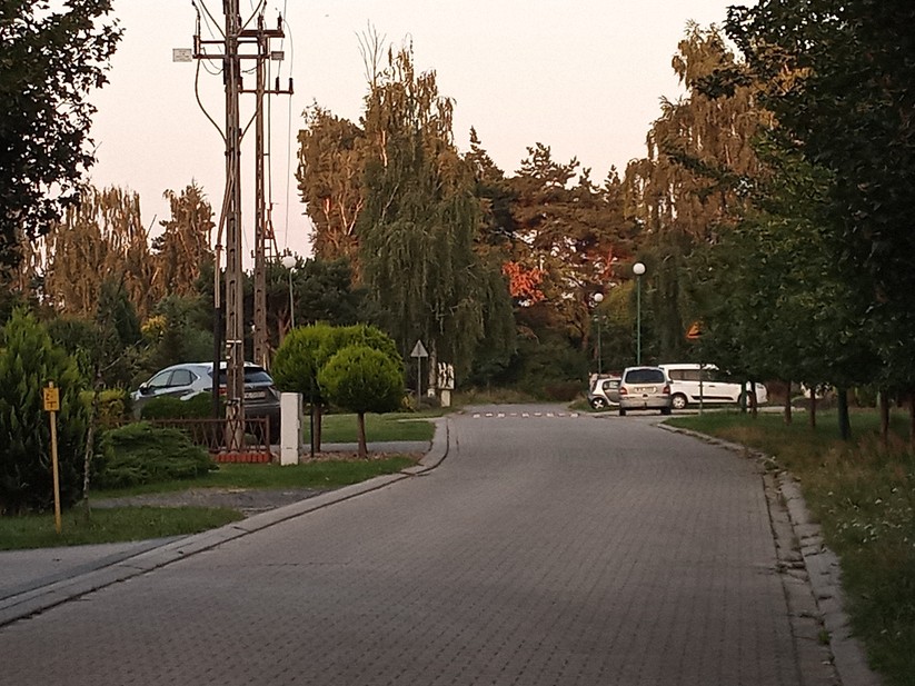 Doro 8020