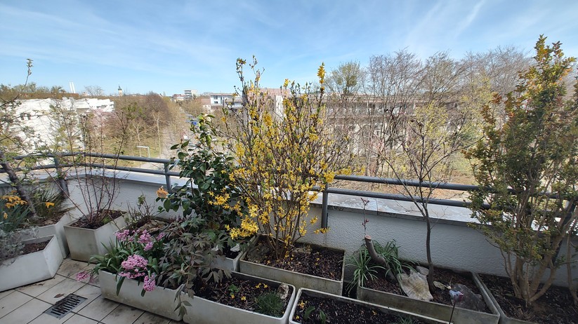 Motorola Edge 30 Pro - Originalaufnahmen