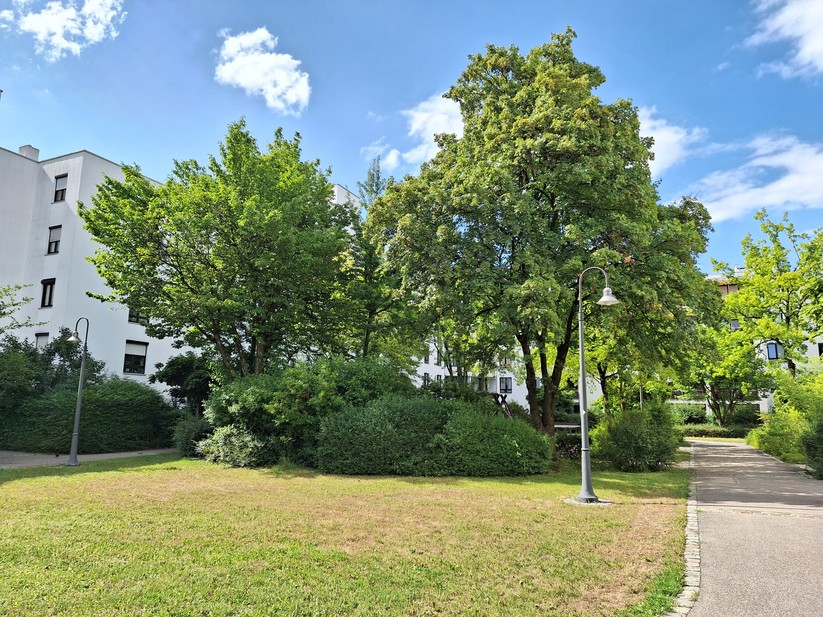 Samsung Galaxy A54 - Originalaufnahmen 