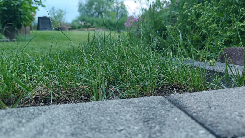 An einigen Stellen bleibt immer Gras stehen