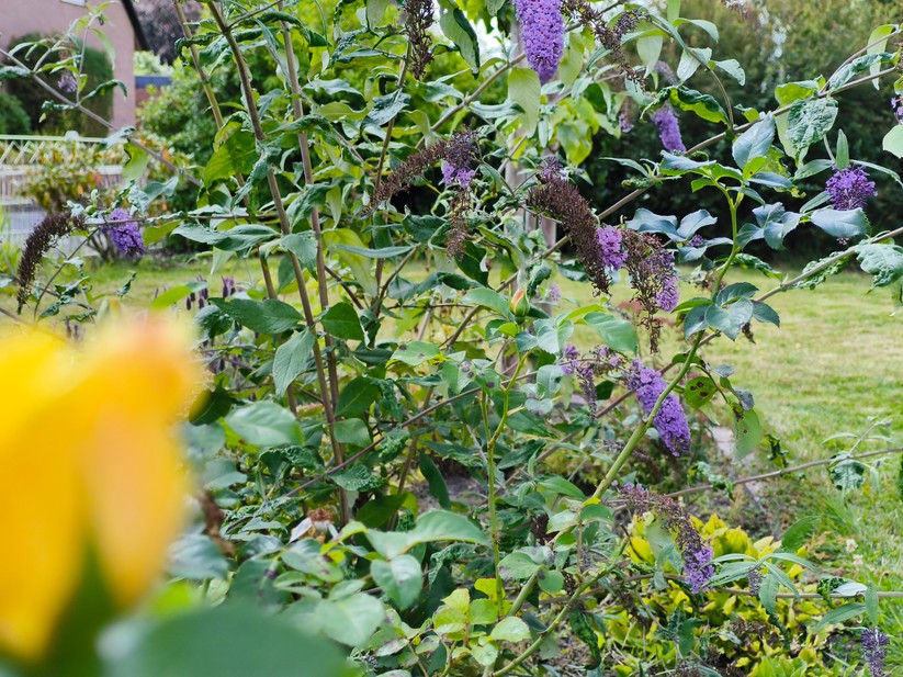 CMF Phone 2 Pro - Originalaufnahmen 