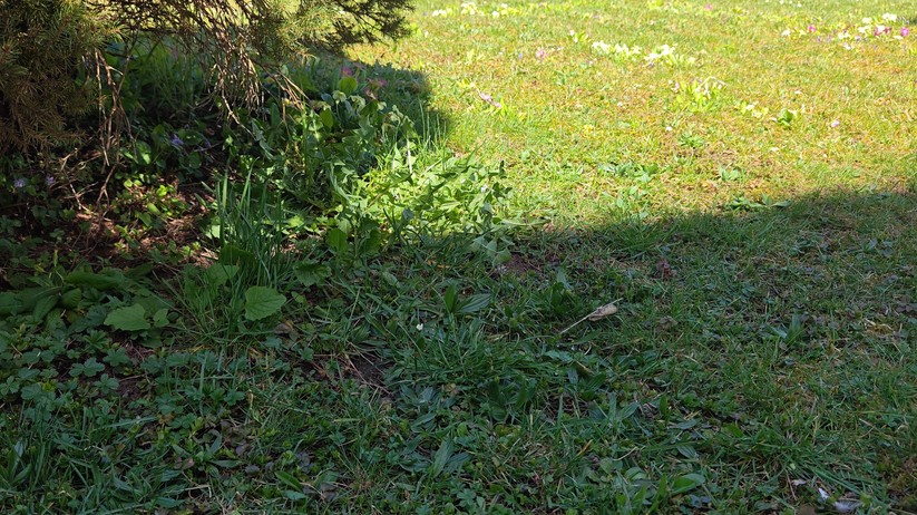  Dreame A3 AWD Pro 3500: Allrad-Mäher mit hoher Schnittleistung und Top-Kantenschnitt