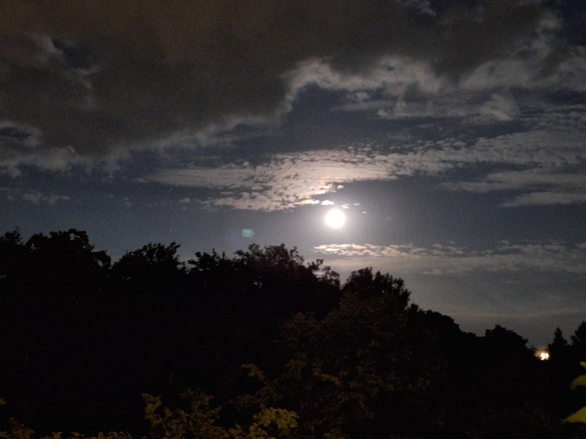 Samsung Galaxy A54 - Originalaufnahmen 