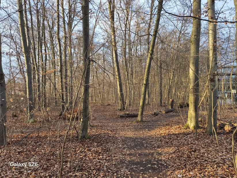 Samsung Galaxy S26 - Originalaufnahmen