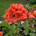 Testfoto geschossen mit einem Nokia 6700 slide | BestBoyZ
