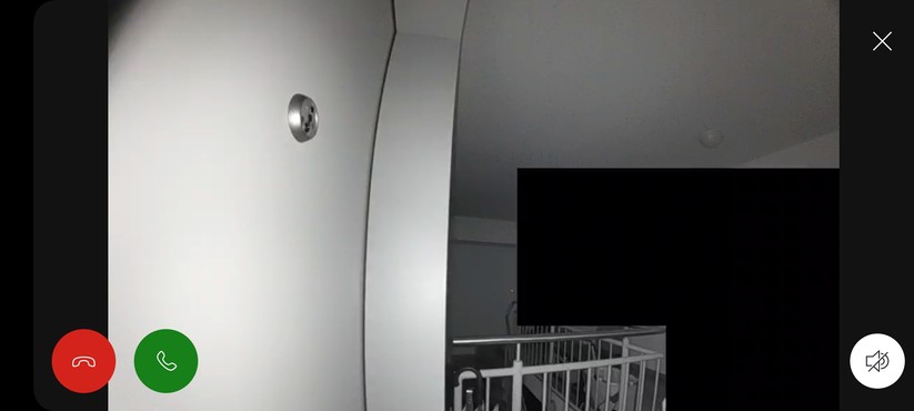 Ring Battery Video Doorbell Plus: Nachtsicht