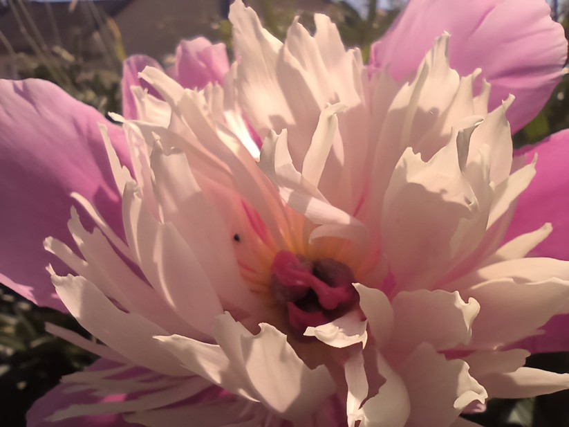 Oukitel WP100 Titan - Originalaufnahmen 