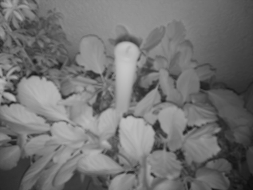 Ulefone Armor 34 Pro - Originalaufnahmen