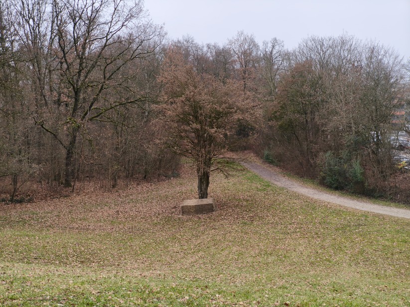 Xiaomi 15T - Originalaufnahmen