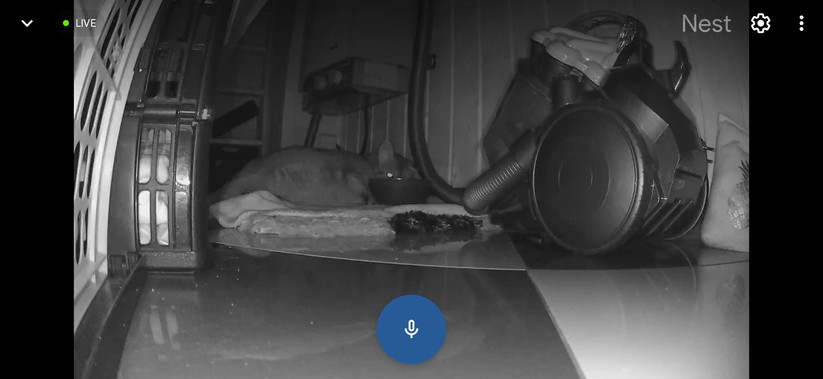 Das Bild der Google Nest bietet nur FullHD. Dadurch ist es weniger detailreich wie Aufnahmen der 2K-Varianten von Reolink und Eufy. 