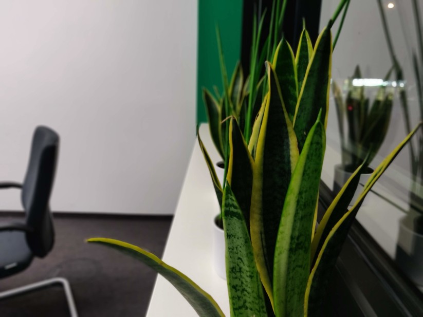 Portrait bei Kunstlicht