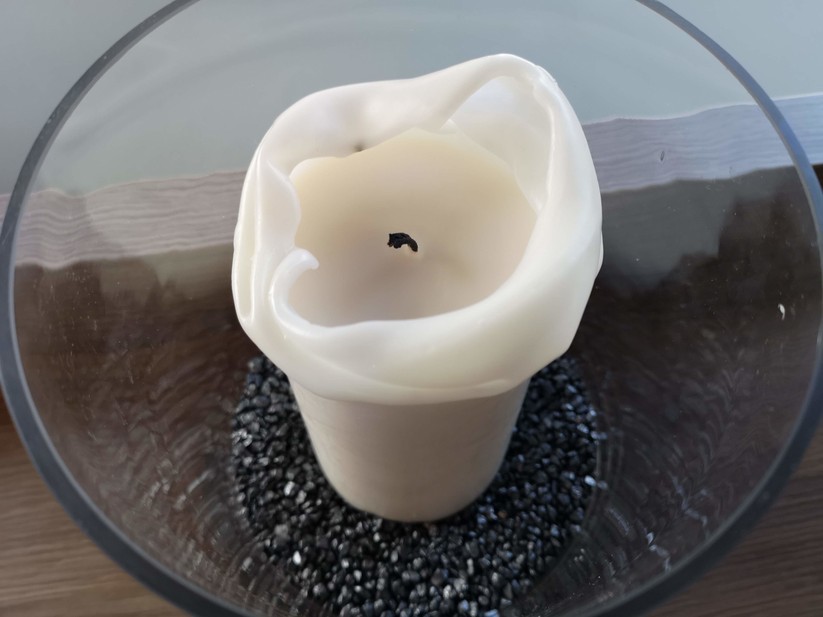 Nahaufnahme bei Tageslicht