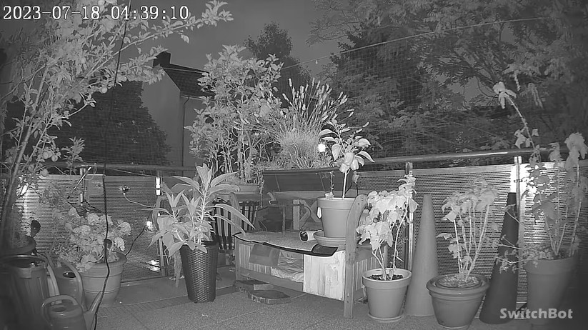 Switchbot Outdoor Spotlight Cam: Nachtaufnahme in Schwarzweiß mit IR-LEDs