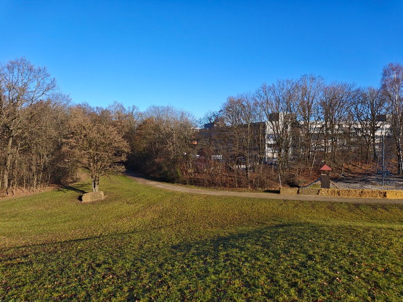 Poco F8 Pro - Originalaufnahmen 