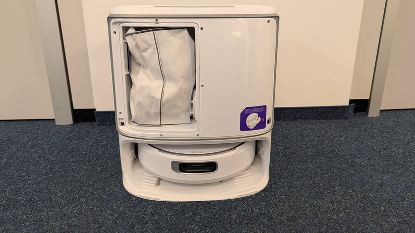 Narwal Flow – Bilderstrecke