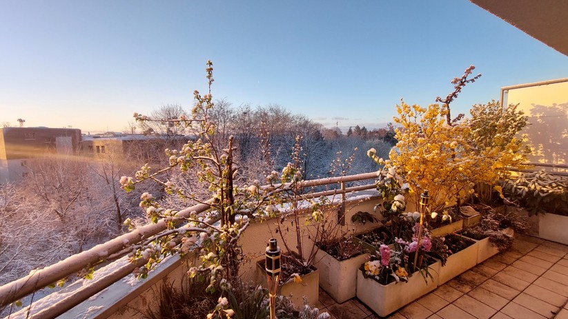 Mit Samsung Galaxy A52 geschossenes Foto