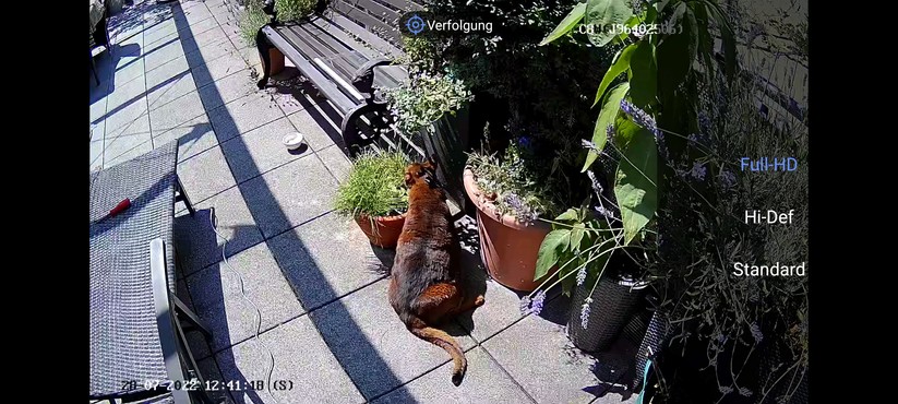 Ezviz C8W Pro 2K: Netzwerkwechsel, Einstellungen, Aufnahmen, Nachtsicht