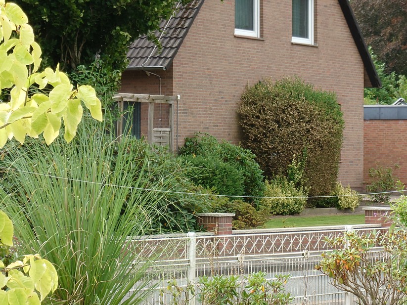 Sony Xperia 1 VII - Originalaufnahmen 