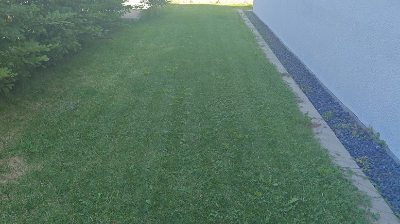 Natural Expression Performance 7: Kamerabasierter Mähroboter für Flächen bis 500 m² und einer Schnittbreite von 18 cm.