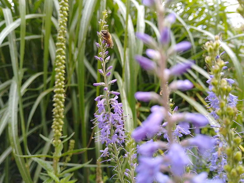 Nokia G22 – Fotos