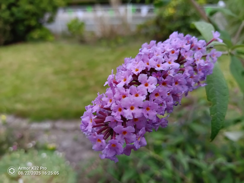 Ulefone Armor X32 Pro - Originalaufnahmen