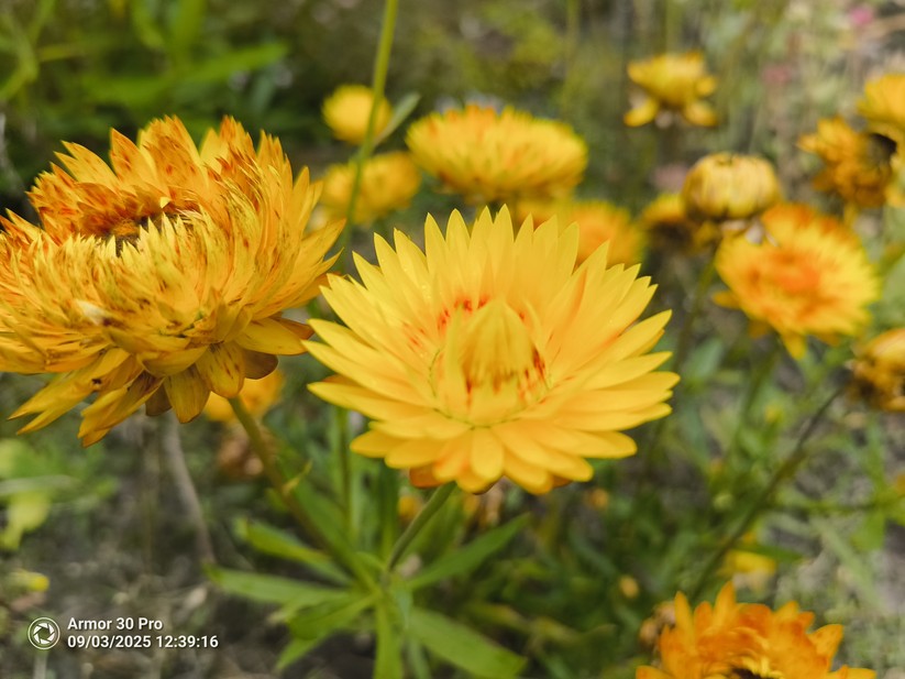 Ulefone Armor 30 Pro - Originalaufnahmen