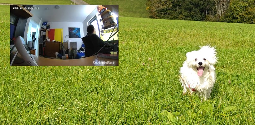 In Home Assistant lässt sich aktuell nur der Videostream der Kamera einbinden.