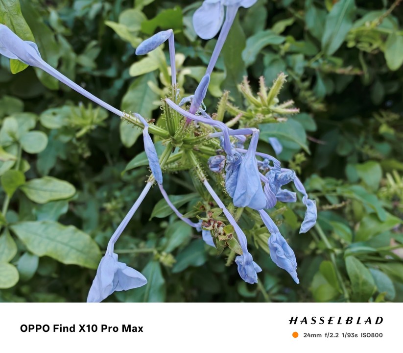 Oppo Find X10 Pro Max