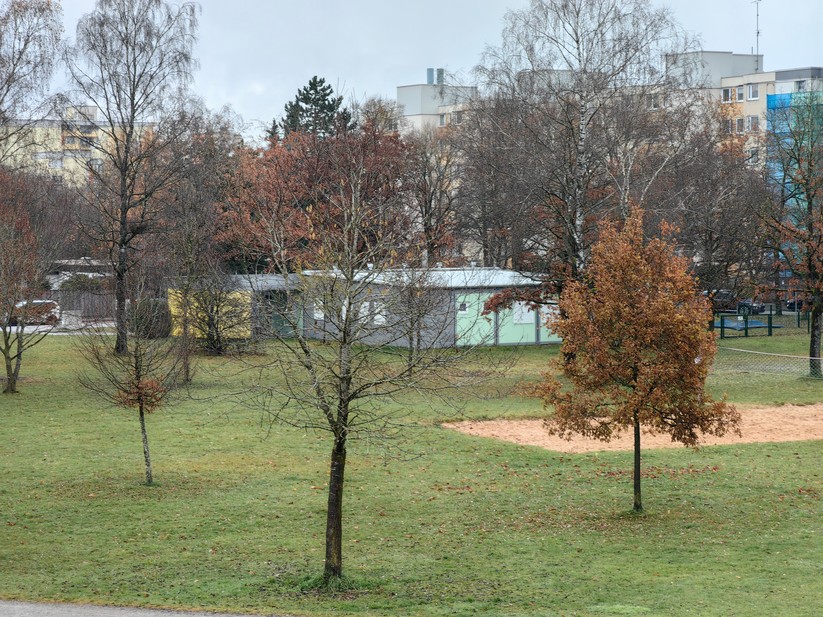 Huawei Mate 50 Pro - Originalaufnahmen 