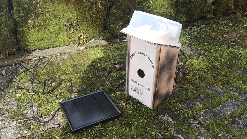 Nistkasten: Hier wurde die Kamera auf dem Nistkasten aufgesetzt und mit einer Kunststoffbox geschützt.